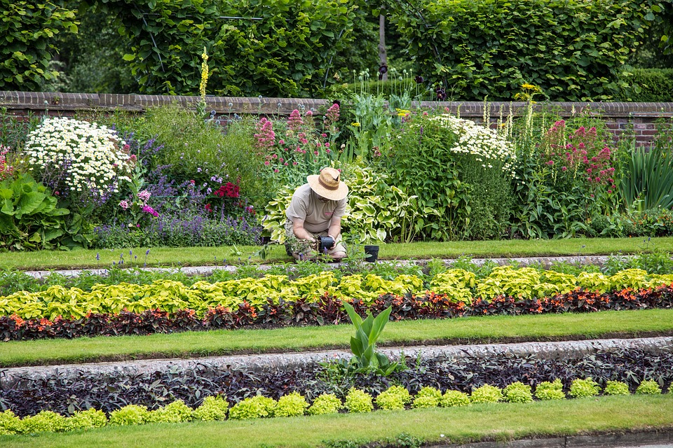 Aménager un jardin