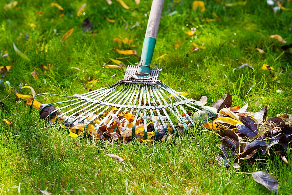 Entretien du jardin