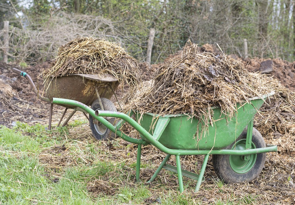 broyeur végétaux